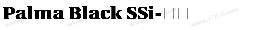 Palma Black SSi字体转换